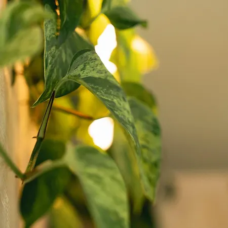 Le Pre De La & Privatif Dom wakacyjny