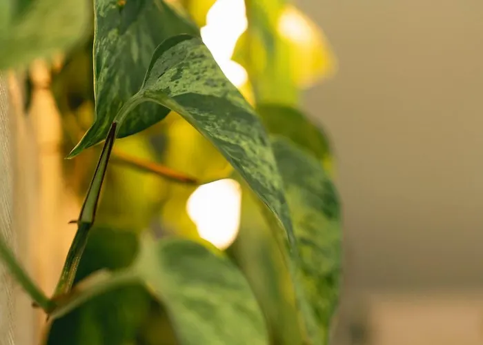 Le Pre De La & Privatif 度假居